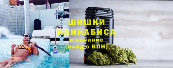 прущие грибы Ельня