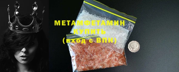 прущие грибы Ельня