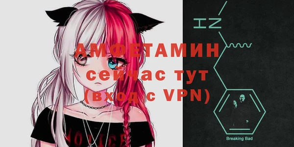 прущие грибы Ельня
