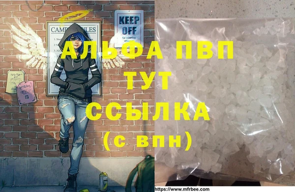 прущие грибы Ельня