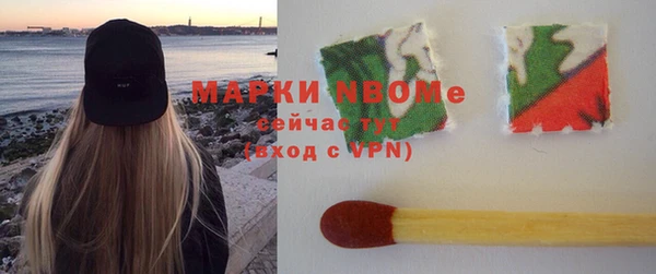 прущие грибы Ельня