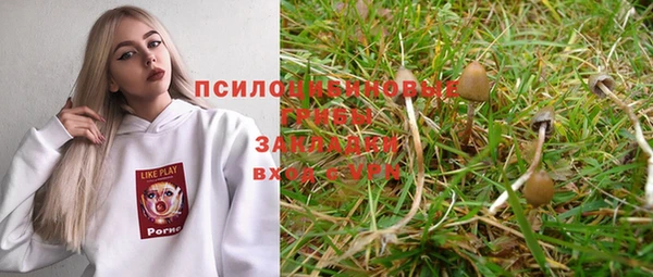 мдма Елизово
