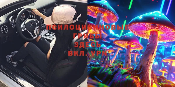 прущие грибы Ельня