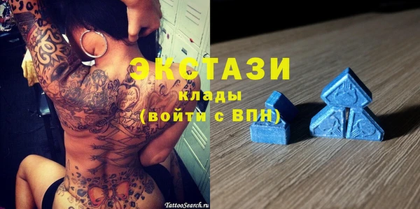 стаф Дмитриев