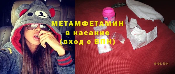прущие грибы Ельня