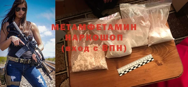 прущие грибы Ельня