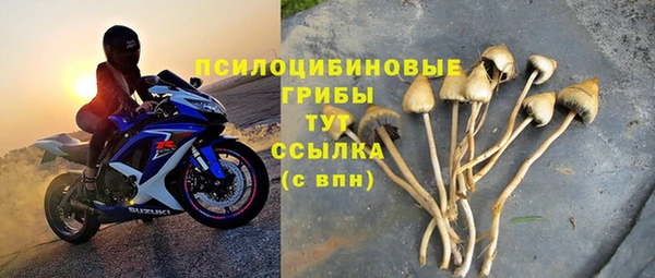 мдма Елизово