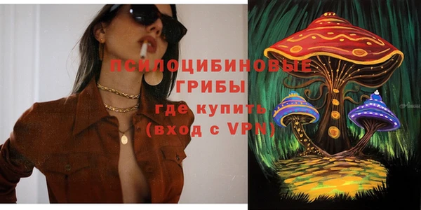 мдма Елизово