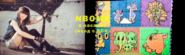 прущие грибы Ельня