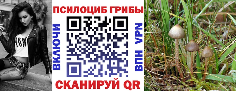 Псилоцибиновые грибы мухоморы  Купить  Горнозаводск 